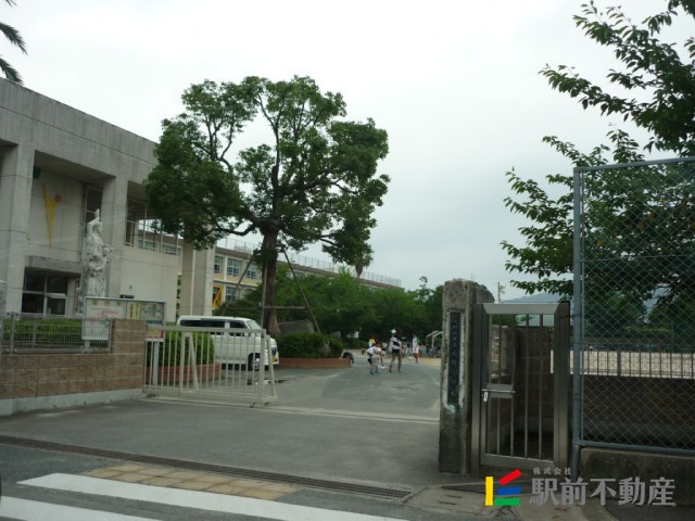 小学校　大野小学校（小学校）まで600m