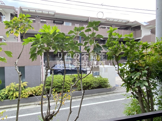 眺望　お部屋前には緑があるので、心癒されますね☆