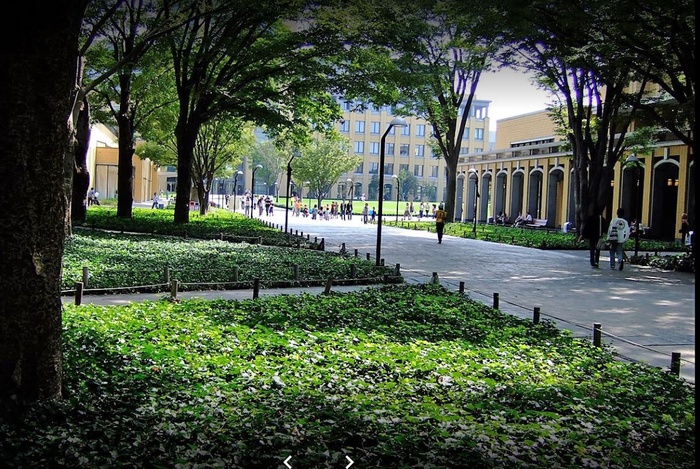 大学・短大　青山学院大学（大学・短大）まで430m