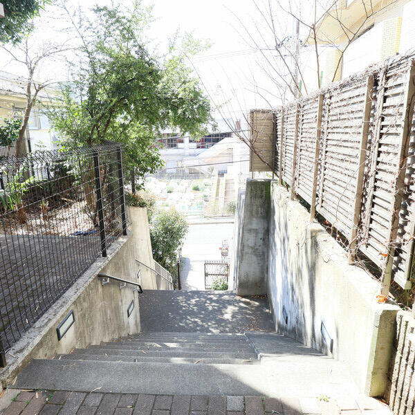 庭