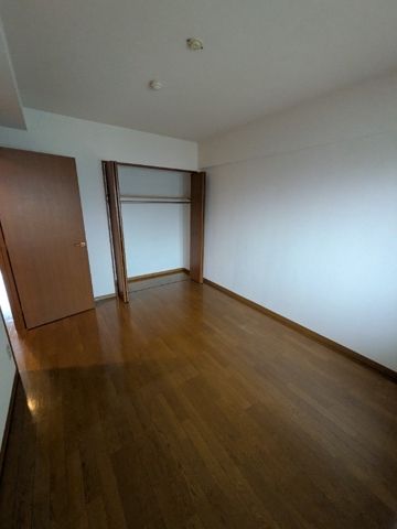 収納　参考写真（同物件別部屋）