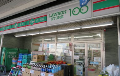 コンビニ　ローソンストア100 LS追浜町三丁目店（コンビニ）まで862m