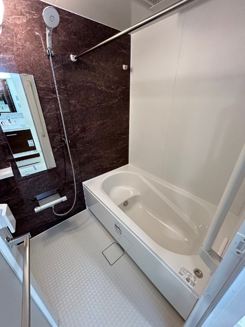 バス・シャワールーム　同間取り他号室写真