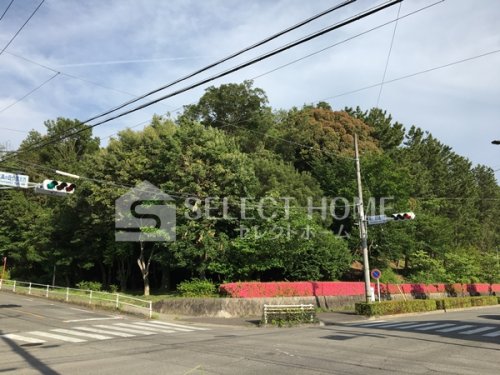 公園　竜美ヶ丘公園（公園）まで239m