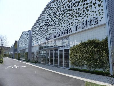 ショッピングセンター　柏の葉Ｔ－ＳＩＴＥ（ショッピングセンター）まで605m