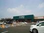ホームセンター　カインズ前橋小島田店（ホームセンター）まで3900m