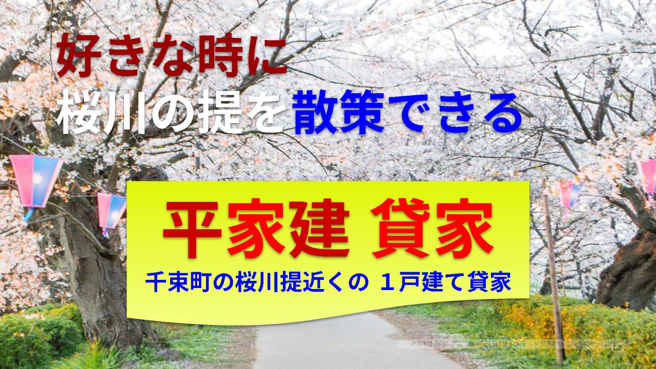 桜住宅 4号棟の外観写真
