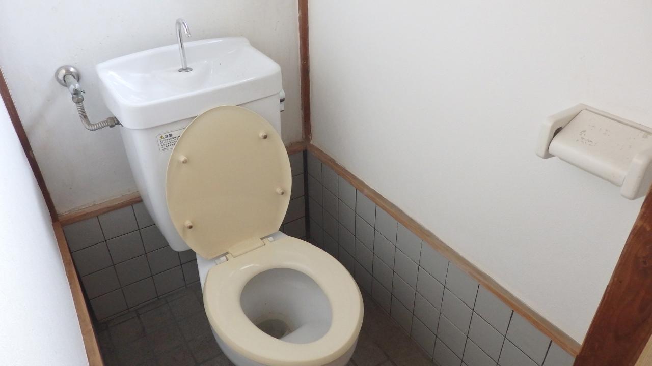 桜住宅 4号棟のトイレ写真