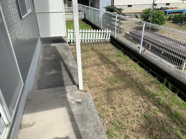 庭