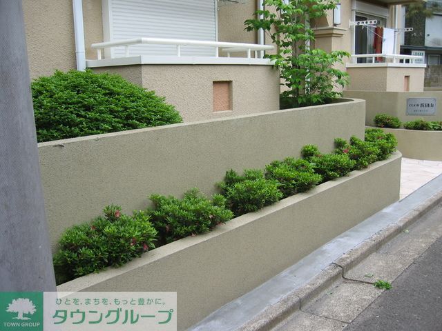 庭