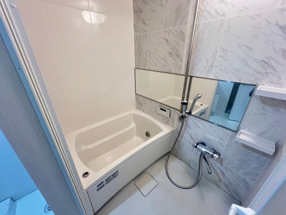 バス・シャワールーム　※別部屋の写真です