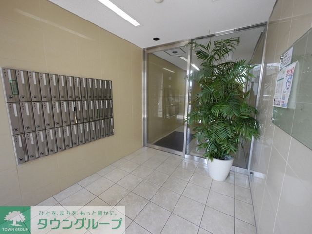 庭