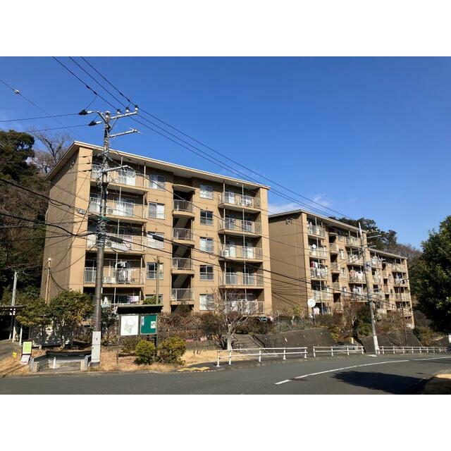 建物外観　外観｜築５４年の貫禄ある５階建ての団地です。