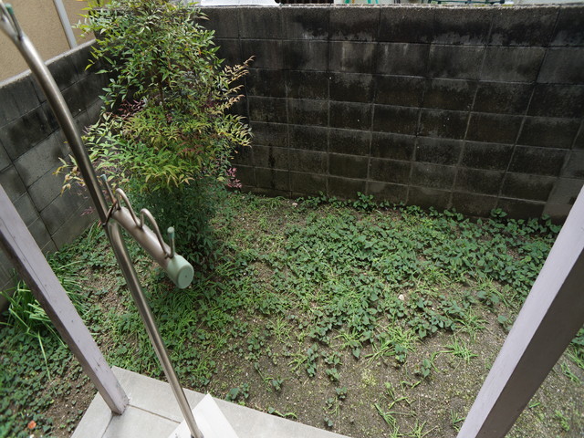庭
