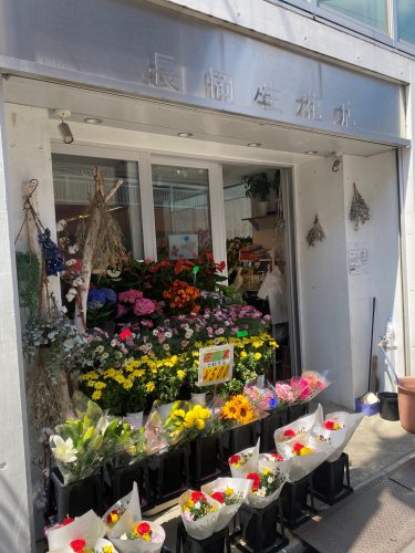 その他　長岡生花店（その他）まで575m