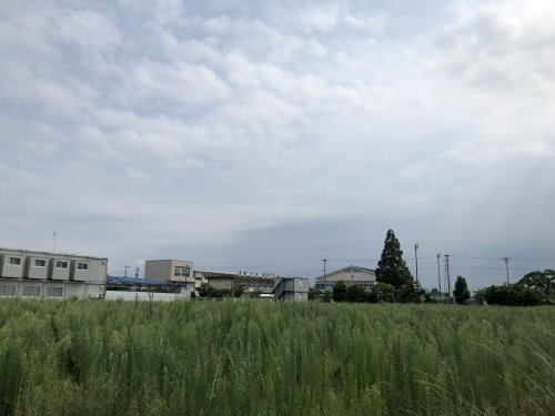 小学校　佐賀市立巨勢小学校（小学校）まで1390m