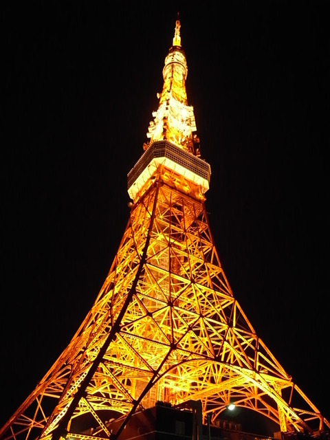 その他　東京タワー（その他）まで530m