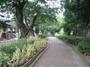 公園　蛇崩川支流緑道（公園）まで427m