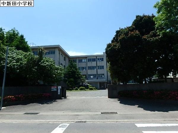 小学校　中新田小学校（小学校）まで791m