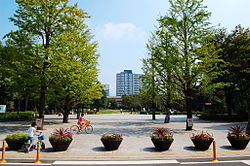 公園　浜町公園（公園）まで475m