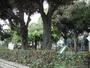 公園　西片公園（公園）まで535m
