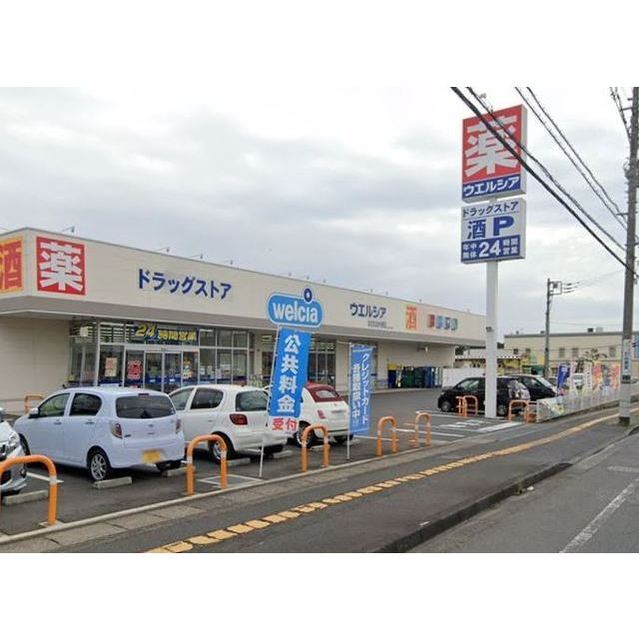 ドラックストア　ウエルシア　ひたちなか外野店（ドラッグストア）まで350m