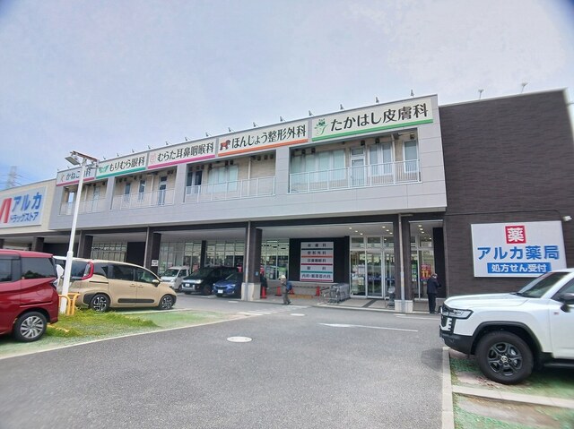 ドラックストア　アルカドラッグストア尼崎猪名寺（ドラッグストア）まで800m