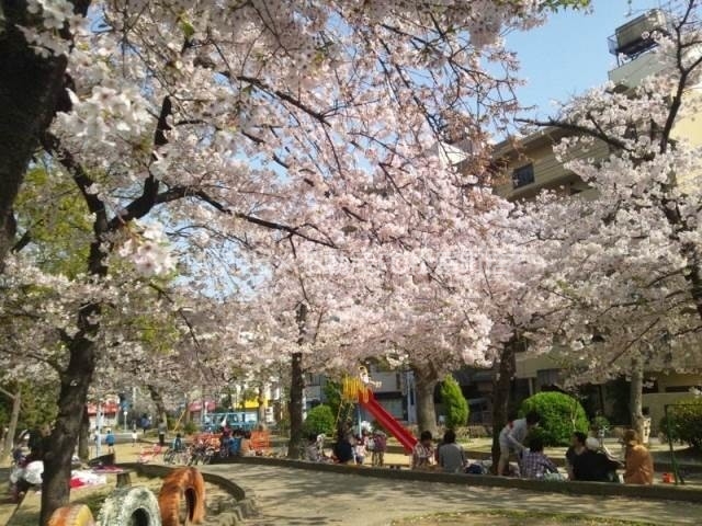 公園　寺田町公園（公園）まで709m