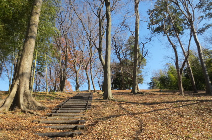 公園　中川八幡山公園（公園）まで521m