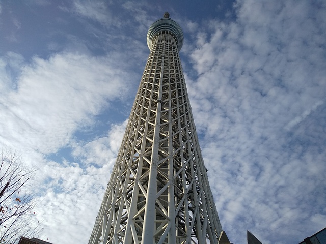 【マイスターハウス向島のその他】