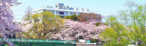 【シャルマン北越谷Vの大学・短大】