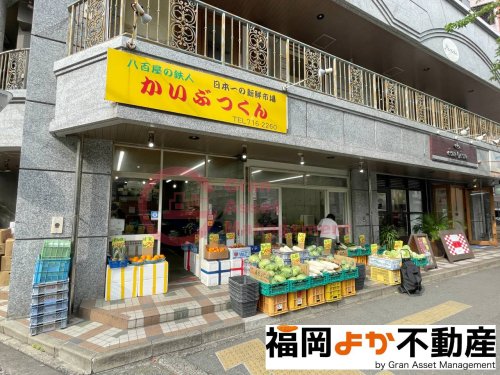 スーパー　かいぶつくん 薬院店（スーパー）まで593m