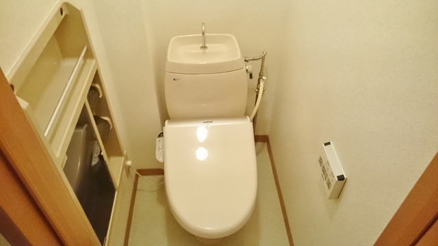 近鉄田原本線 大輪田駅 徒歩8分 2階建 築40年のトイレ写真
