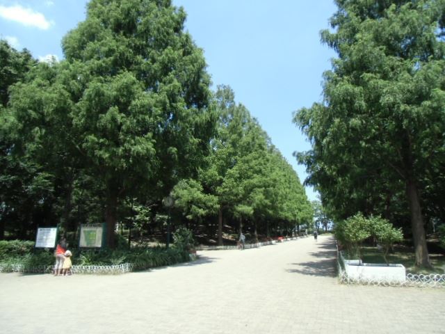 【ＦＯＲＴＥの公園】