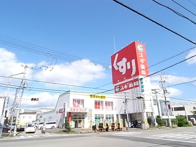 ドラックストア　スギ薬局　宝塚南店（ドラッグストア）まで300m