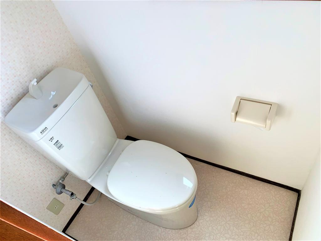 南海本線 湊駅 徒歩11分 3階建 築48年のトイレ写真