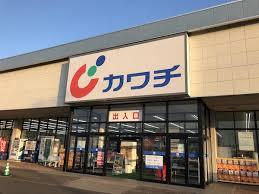 ドラックストア　カワチ薬品茂木店（ドラッグストア）まで1349m