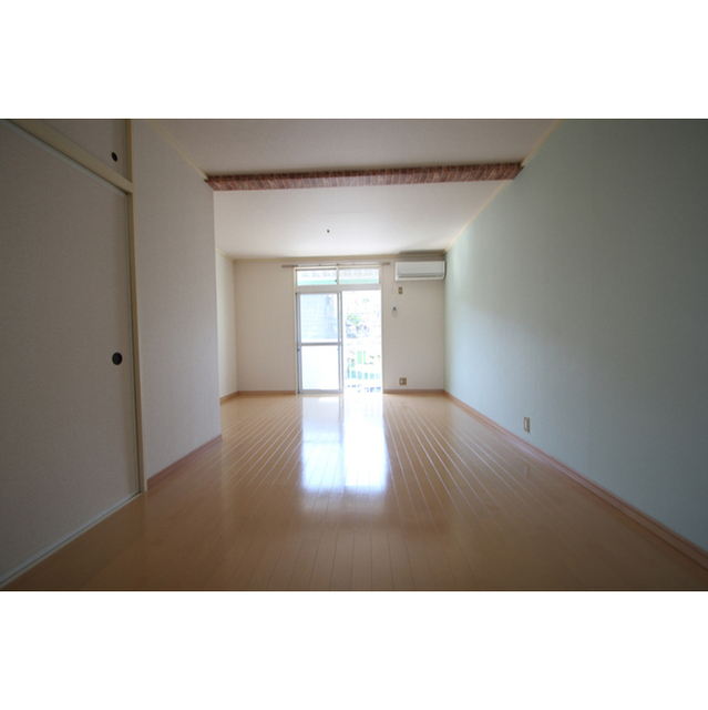 居室・リビング　内装写真は全て２０３号室です