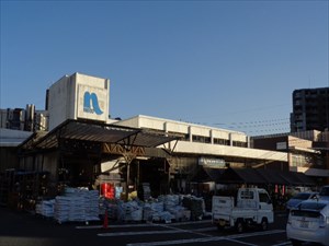 ホームセンター　ホームプラザナフコ徳力店（ホームセンター）まで1116m