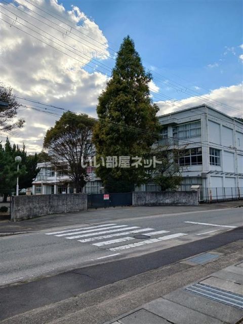 小学校　たつの市立新宮小学校（小学校）まで392m