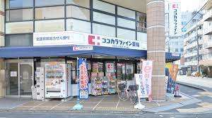 ドラックストア　ココカラファイン壬生店（ドラッグストア）まで489m