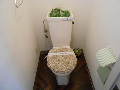トイレ　トイレ