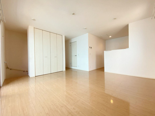 居室・リビング　２０１号室　ＬＤＫ