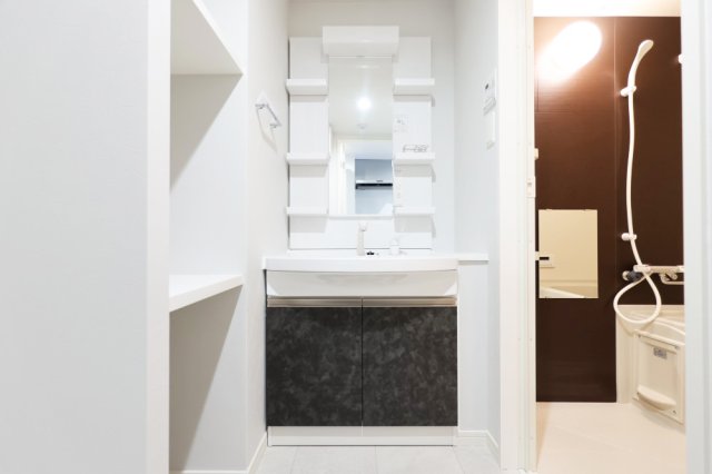 洗面設備　独立洗面化粧台付き