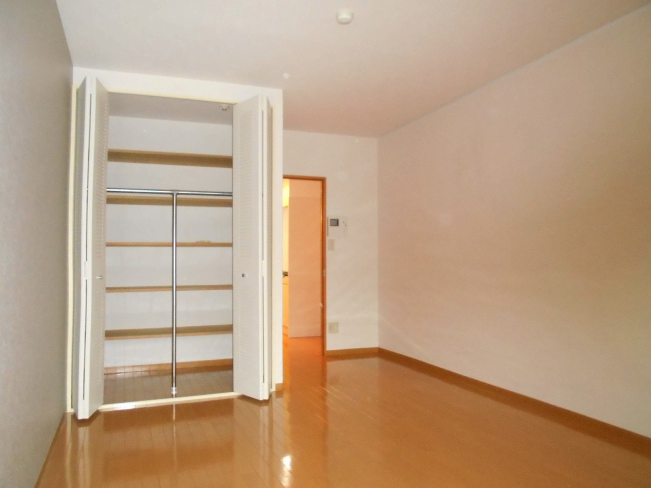 収納　写真は他のお部屋です。