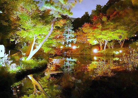 公園　新宿区立甘泉園公園（公園）まで679m