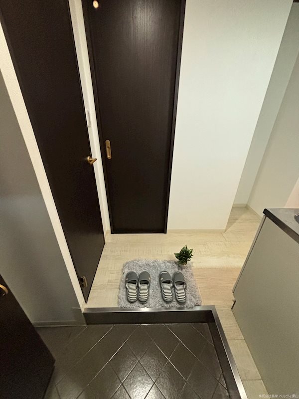 玄関　※同タイプ別部屋です