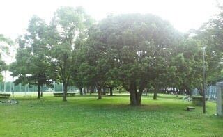 公園　大岡公園（公園）まで400m