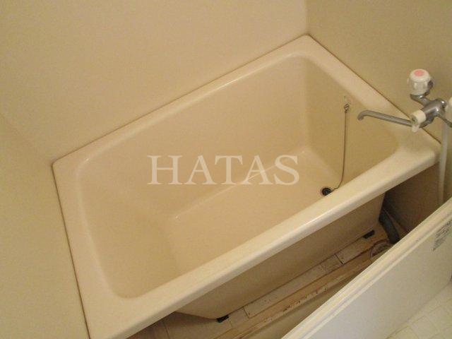 バス・シャワールーム　同物件別部屋です。