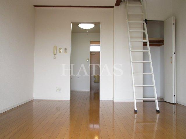 居室・リビング　同物件別部屋です。